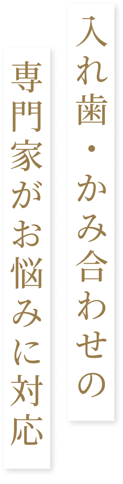 入れ歯・かみ合わせの専門家がお悩みに対応