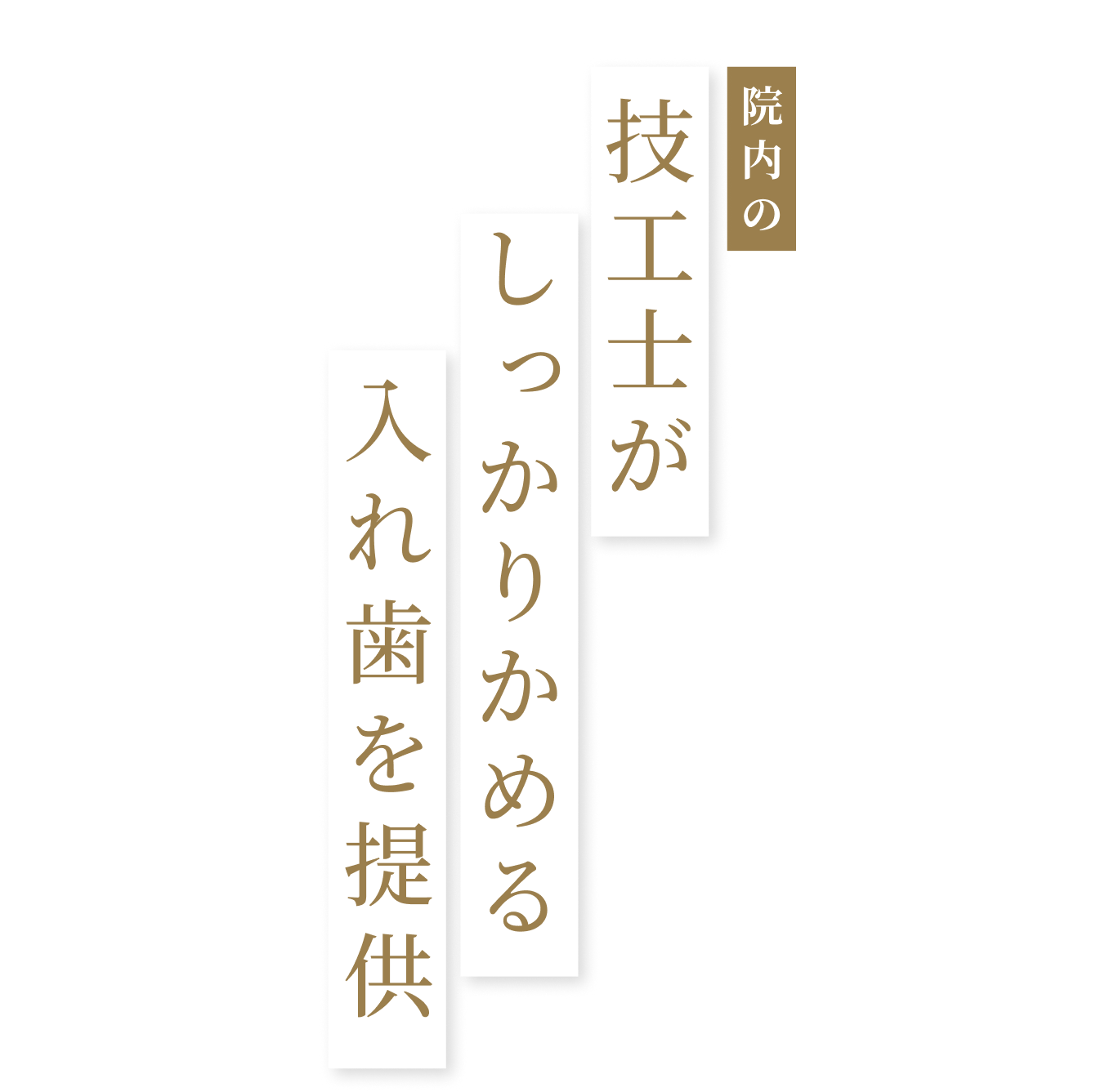 院内の技工士がしっかりかめる入れ歯を提供